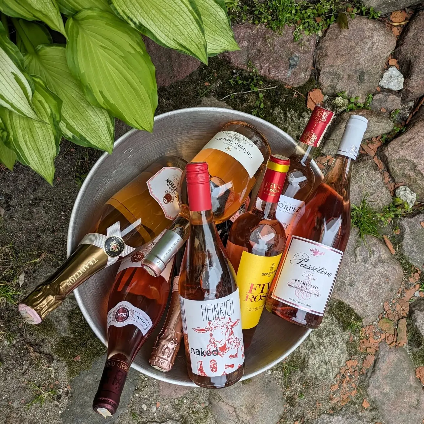 Atšaldyti rožiniai vynai kibire